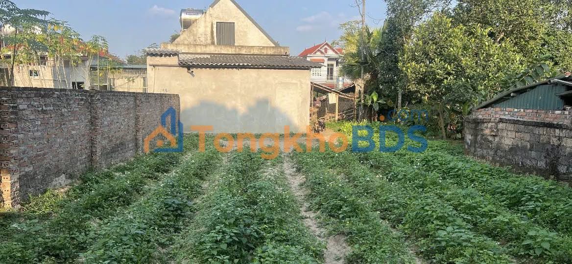 Đất Nền Phú Thọ 176m² - Giáp Viện Kiểm Sát, Gần Trường Học Thanh Vinh