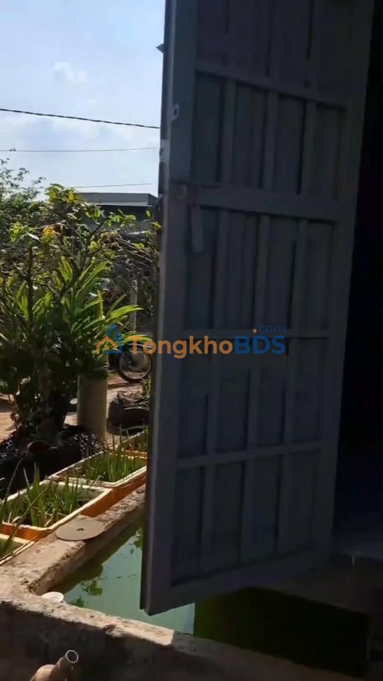 Bán Gấp Farm 1.8 Sào Xã Hoài Đức, Lâm Hà - Sinh Lời Cao