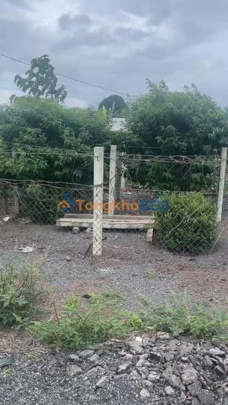 Đất Nền Làng Cúc, Đăk Pơ - 130m² Giá Chỉ 250 Triệu - Sổ Đỏ Sẵn Sàng