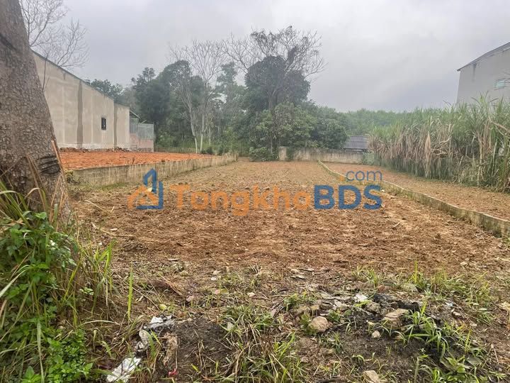 Đất Mặt Tiền KCN Bình Vàng, Hà Giang – 200m² – 9xx Triệu Đầu Tư Sinh Lời