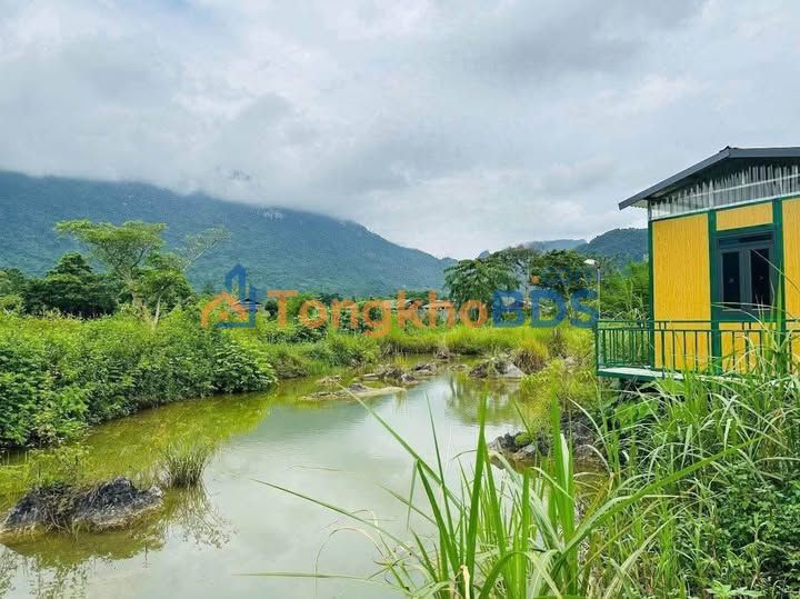 Bán Đất Vườn 1500m² Phong Quang, Hà Giang - Giá 6XX Triệu