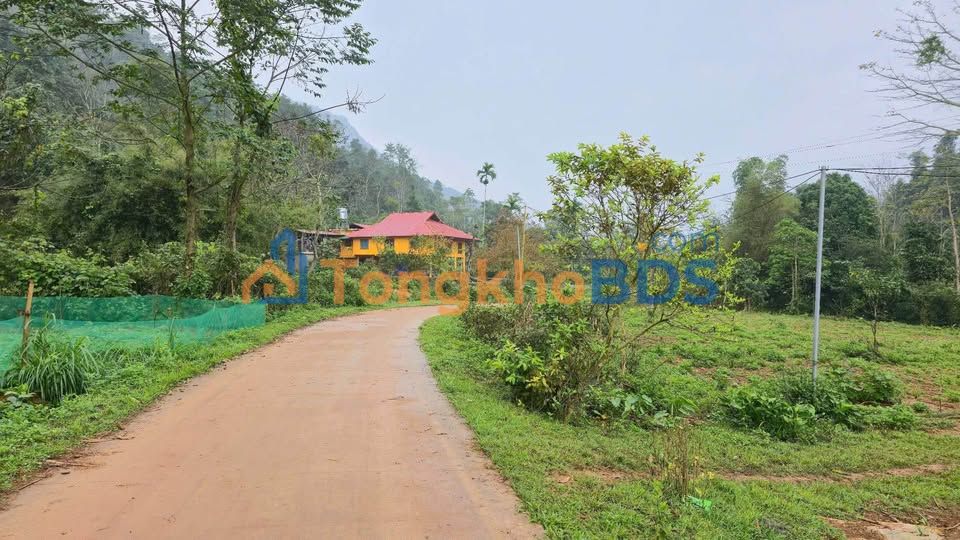 Đất Vườn Hà Giang 3920m² - Bám Suối, Mặt Tiền 56m - Giá Đầu Tư 1-1.99 Tỷ