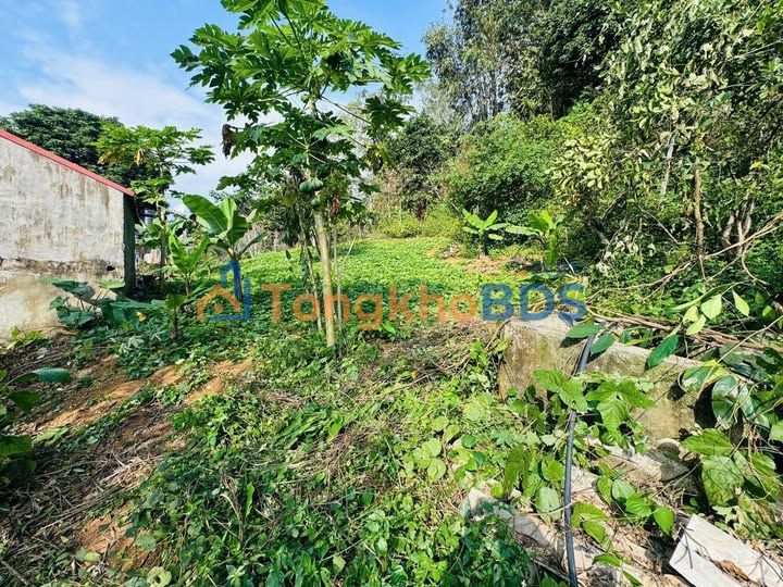 Mặt Tiền Kinh Doanh Nguyễn Văn Linh, TP Hà Giang - 500m², Giá 2 Tỷ, Dòng Tiền Sẵn