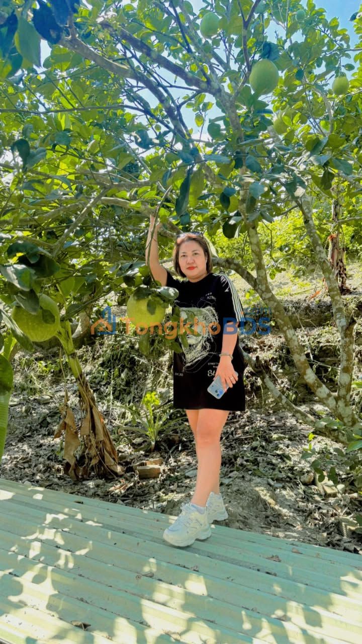 Đất Nền Khánh Phú, Khánh Vĩnh: 400m² Sổ Hồng, Đường Rộng Ô Tô Né Nhau