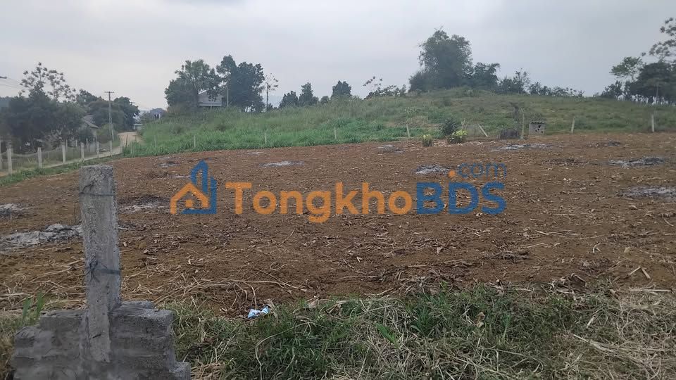 Đất Ba Vì 20.000m² Sổ Đỏ - Rẻ Nhất Hà Nội Dưới 10 Tỷ