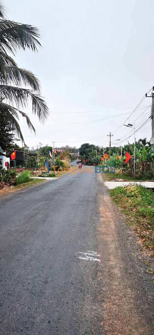 Đất Nền Đinh Tiên Hoàng, Lâm Đồng - 720m² Thổ Cư, Sổ Hồng, Giá 550 Triệu