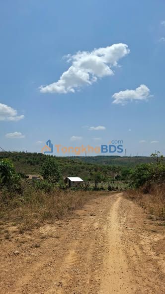 Farm Ea Wer Buon Don 1.000m² 140 triệu - So hong ro rang