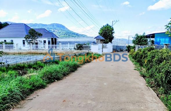 Đất Vườn View Núi Voi Đức Trọng, Lâm Đồng - 6900m² Sổ Hồng