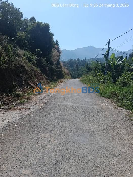 Bán Gấp 1.1ha Đất Vườn Bảo Lâm - 2 Mặt Đường Bê Tông, Bám Suối Lớn