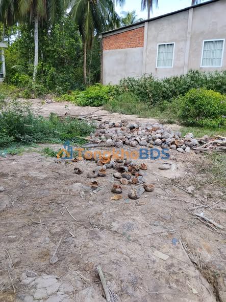 Đất thổ cư 150m² Tỉnh Vĩnh Long - Sổ hồng sẵn, giá 330 triệu