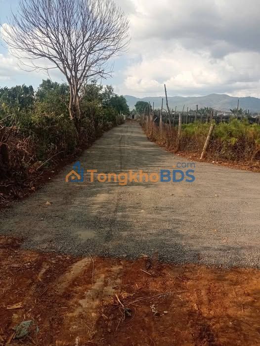 Đất nền Làng Bui, Gia Lai - 150m² Full thổ cư, Sẵn sổ hồng