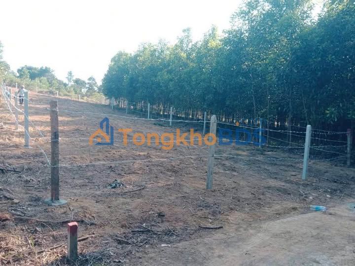 Đất nền 1000m² Khánh Đông, Khánh Vĩnh - Giá 490 triệu, Sổ đỏ sẵn