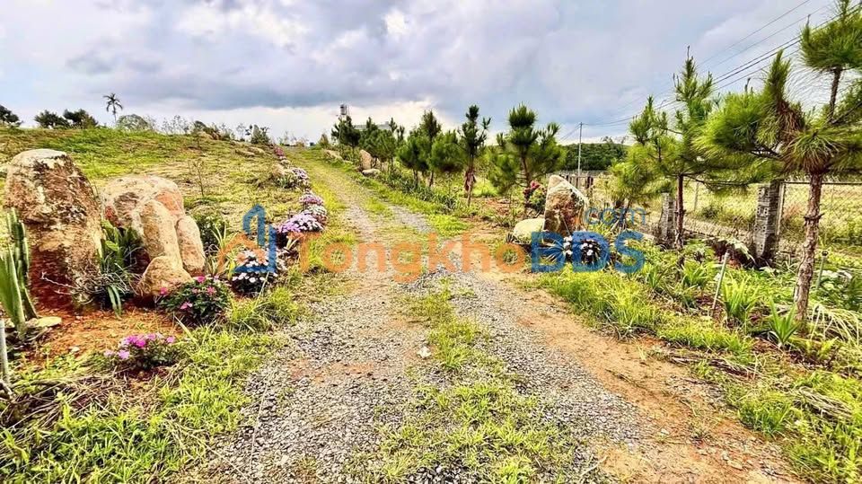 Đất Vườn Bảo Lộc 899m² Nở Hậu - View Đồi Thoáng Mát - Sổ Hồng Sẵn Sàng