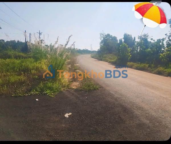 Bán Đất Mặt Tiền Lộc Tân, Bảo Lộc - 195m² Sẵn Thổ Cư - Giá 1.1 Tỷ