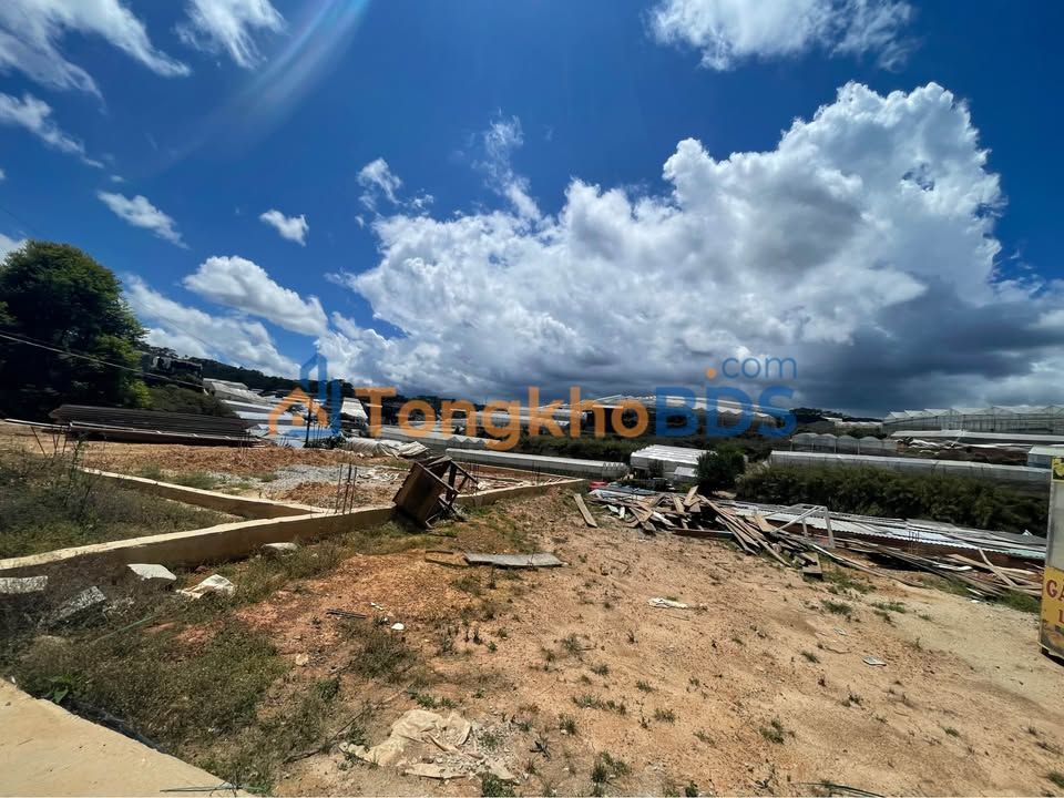 Đất Nền Xã Đạ Sar, Lạc Dương - 97m² Hướng Bắc, View Đẹp, Giá 920 Triệu