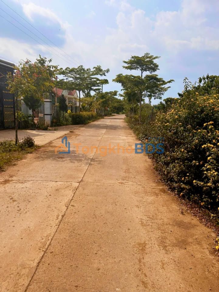 Bán Đất Nền Tân Hội, Tây Ninh 1000m² - Mặt Tiền Bê Tông 12m, Giá 2.1 Tỷ