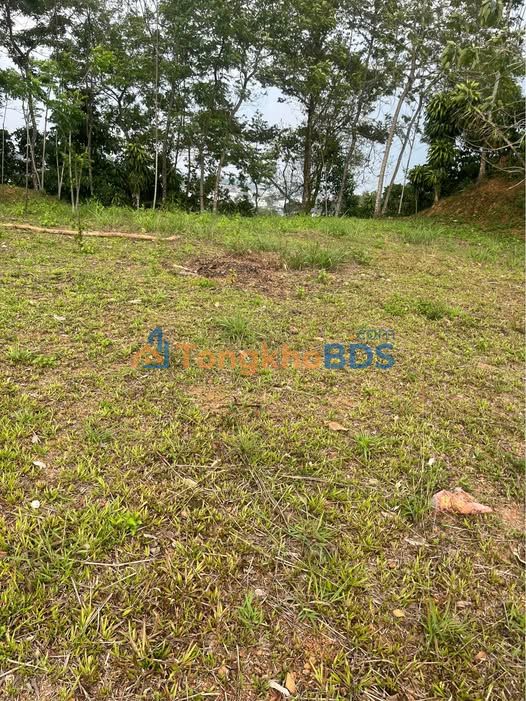 Bán Đất 1024m² Mặt Tiền 27m Ô Tô Tận Nơi - Giá 750 Triệu