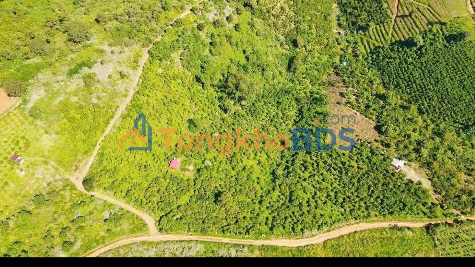 Bán Đất Vườn 10400m² Lộc Thành, Bảo Lâm - Sổ Đỏ Riêng, Giá Đầu Tư 650 Triệu