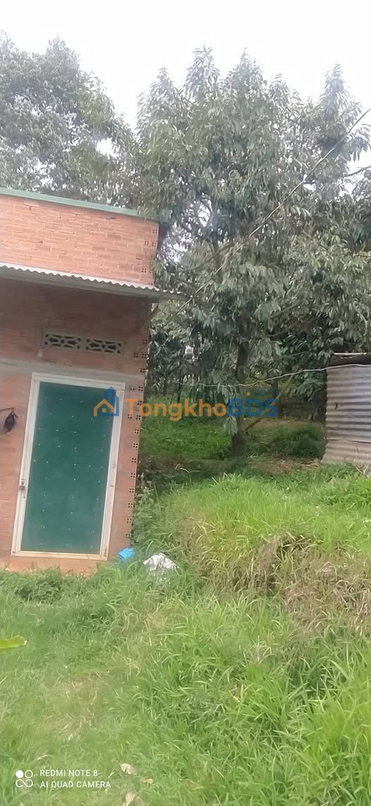 Bán Gấp 21.600m² Đất Vườn Bảo Lâm - Trồng Cafe, Sầu Riêng Thu Lợi Nhuận Cao