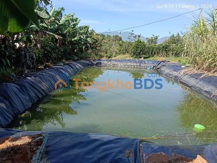 Bán Gấp 5 Sào Đất Vườn Bảo Lâm - Mặt Tiền Đường, Giá 2.8 Tỷ