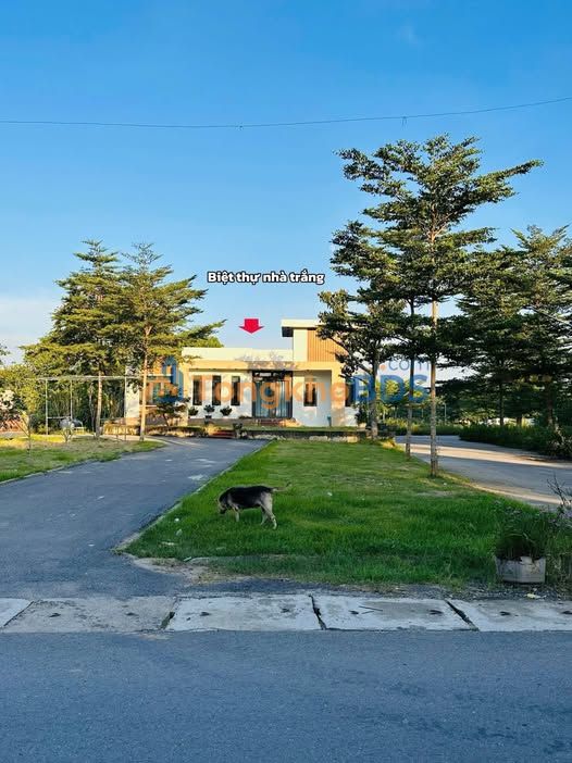 Đất nền Thanh Trì 60m² - Sát trục chính 7m, gần ĐH FPT