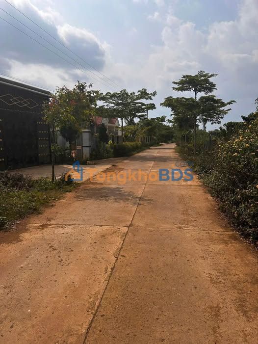 Bán Đất Vĩnh Long 250m² - Trung Tâm Chợ Tân Hội, Sổ Đỏ Thổ Cư