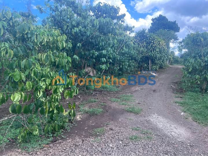 Đất nền Minh Rồng Hàm Mỹ 2.160m²/1.8 tỷ - Sổ đỏ chính chủ