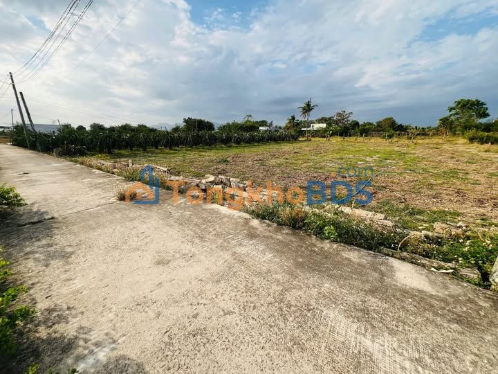 Bán Đất Phan Thiết 2127m² Sổ Đỏ Chính Chủ - Mặt Tiền Đường Bê Tông