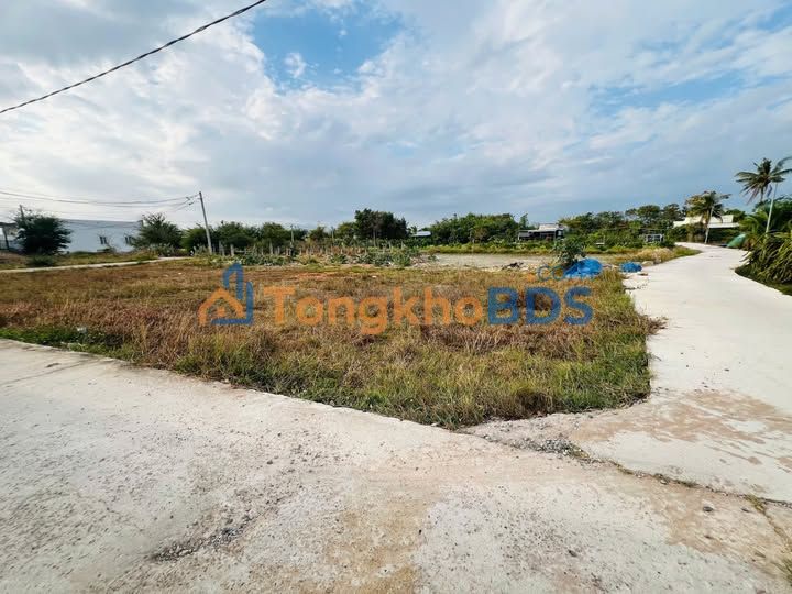 Bán Đất 1000m² Full Thổ Cư Mặt Tiền Đường Bê Tông Phan Thiết - Sổ Đỏ Sẵn Sàng
