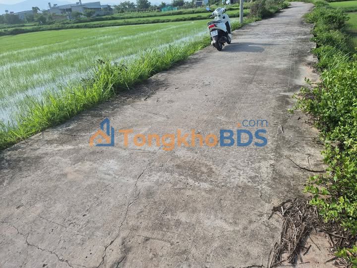 Bán đất 1900m² mặt tiền đường BT, Phường Phú Tài, Phan Thiết - Sổ đỏ chính chủ