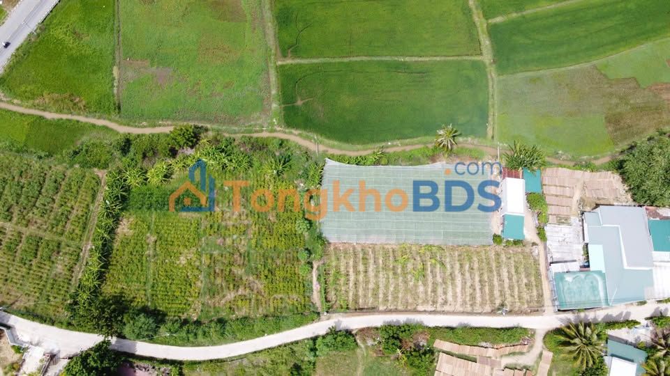 Đất Nông Nghiệp Ninh Phước 594m² - Sổ Riêng Giá 1.2 Tỷ