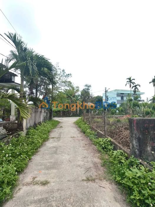 Đất Nền Hòa Phước Đà Nẵng 5.43m² - Vị Trí Đắc Địa, Sẵn Sàng Xây Nhà