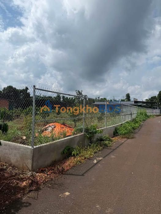 Bán Đất Vườn Nghỉ Dưỡng 1000m² Thị Trấn Kim Long - Giá 1.3 Tỷ