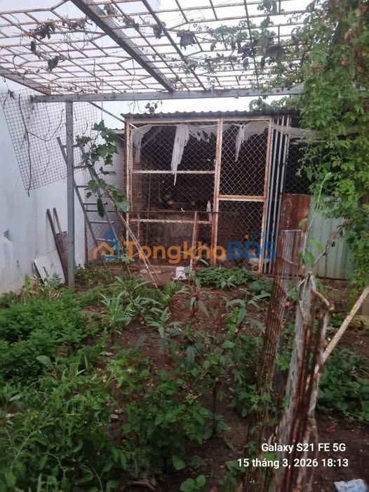 Đất Phước Trung, Bà Rịa - 55m² - Sổ Đỏ Sẵn Sàng - 650 Triệu