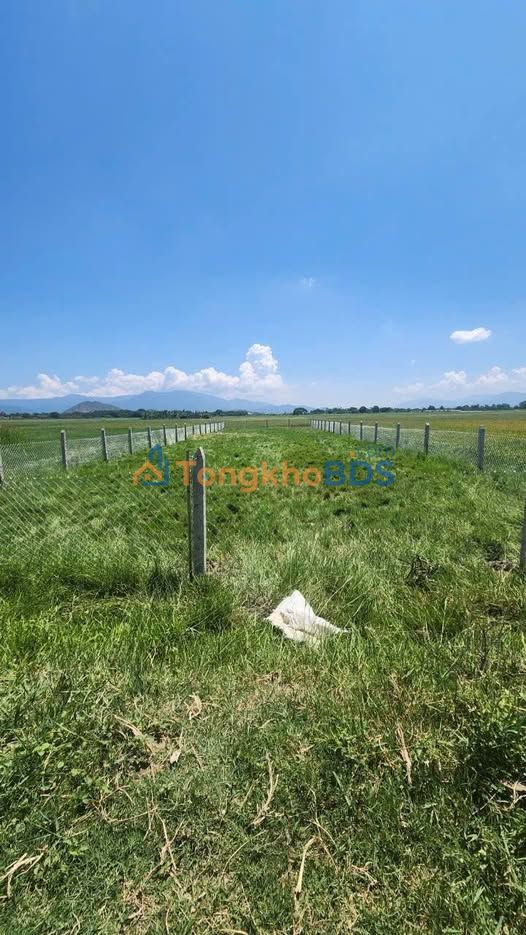 Bán Đất Vườn 660m² Sổ Hồng Riêng Tại Phường Đô Vinh, Phan Rang - Giá 520 Triệu