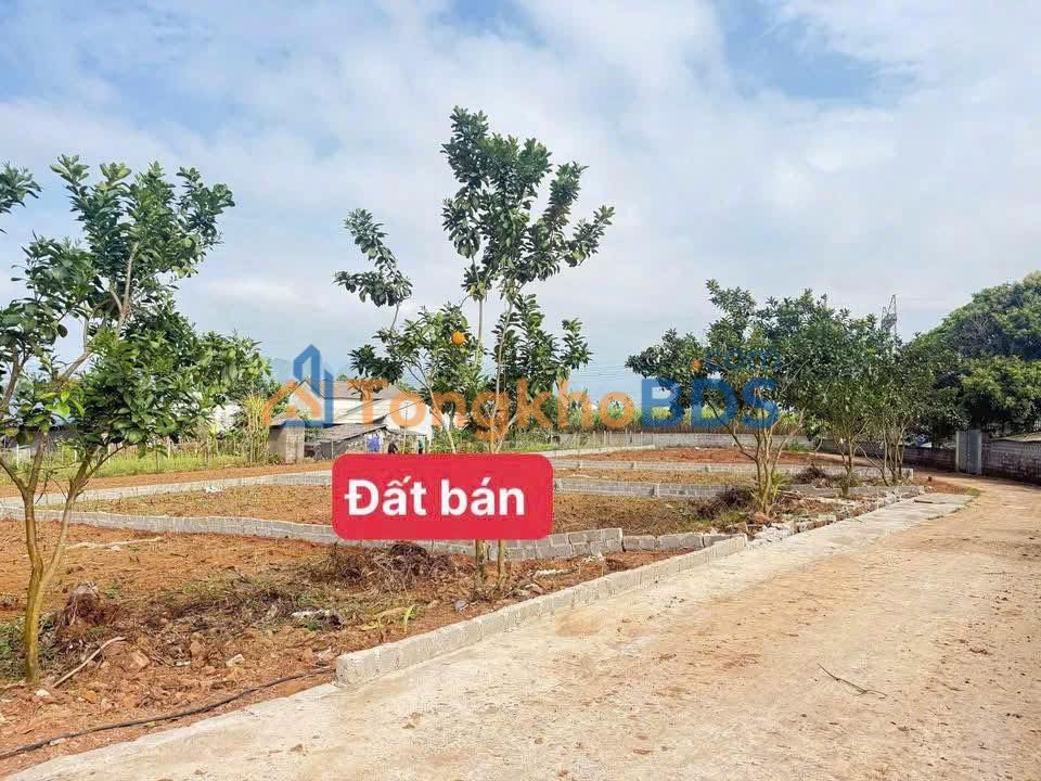 Đất Nền Cao Phong, Hòa Bình 294m² - Sổ Hồng Sẵn, Giá Chỉ 6xx Triệu