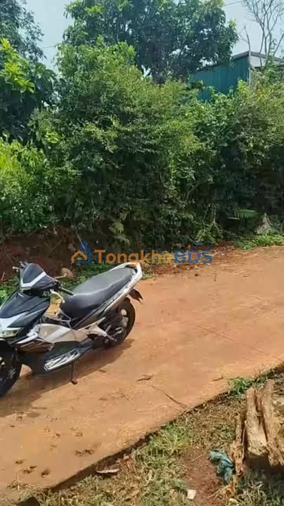 Đất Mai Xuân Thưởng 800m² 1.65 tỷ - Sổ đỏ chính chủ