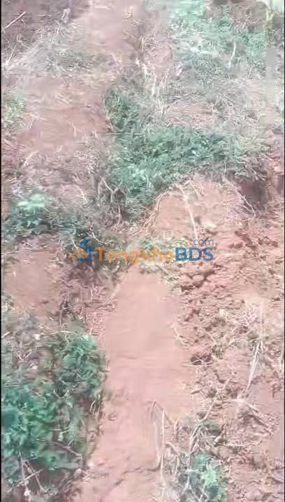 Farm 5700m² Đắk Lắk - Giá 1.45 Tỷ Bao Sổ, Vừa Ở Vừa Kinh Doanh