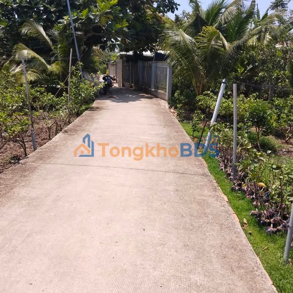 Đất nền Sơn Định, Bến Tre - 175m² thổ cư, Mặt tiền đường 3m, Giá 350 triệu