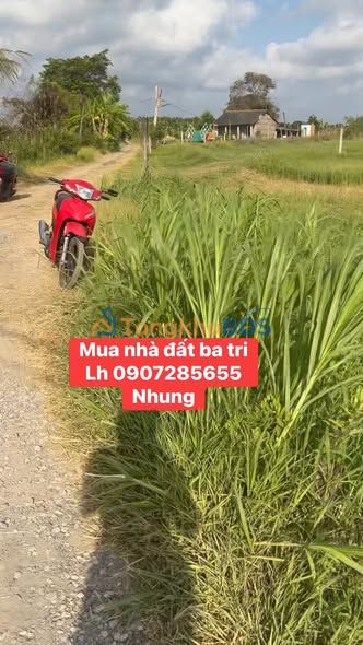 Bán Gấp Đất Vườn Bến Tre 2900m² Giá Đầu Tư 1.08 Tỷ