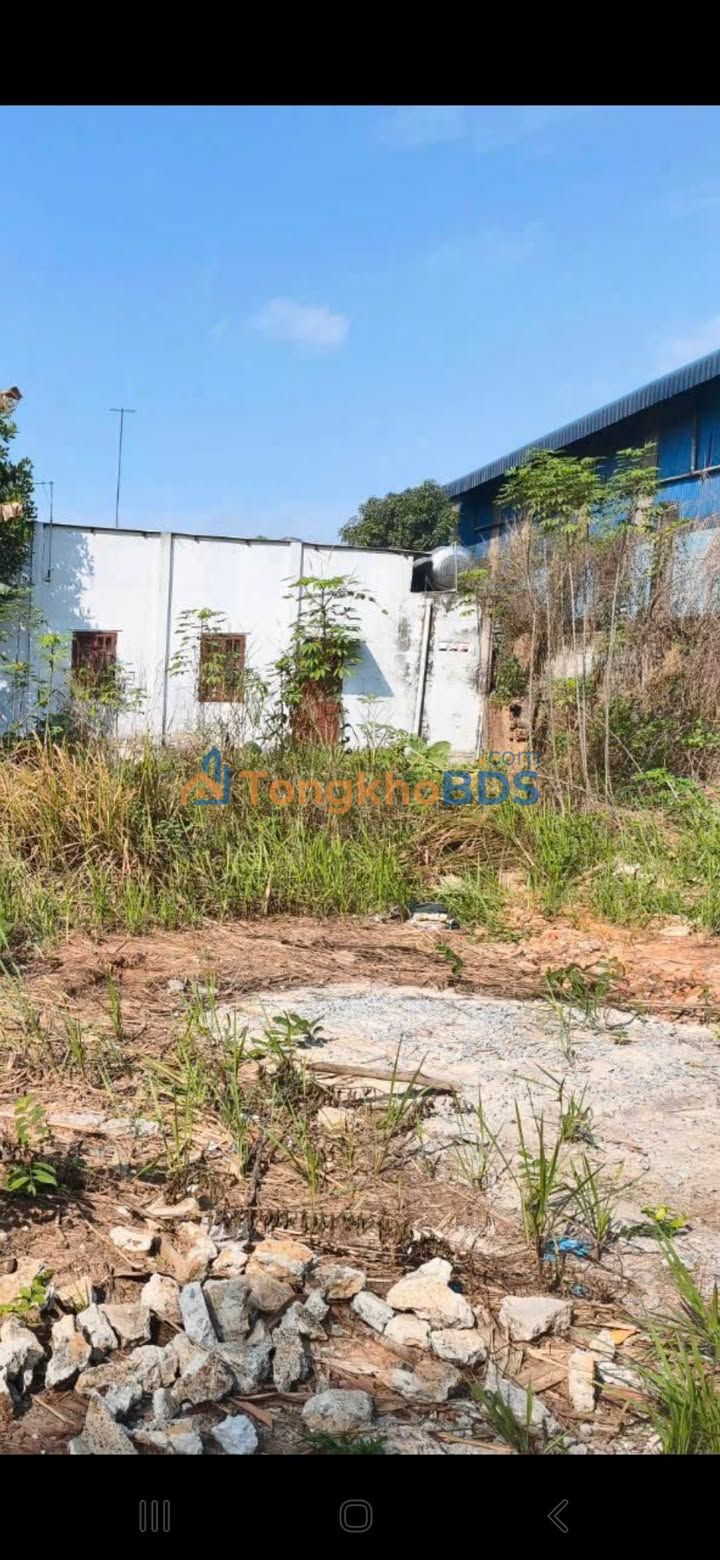 Đất Nền 100m² Phường Hòa Lợi, Bến Cát - Sổ Hồng Riêng, Giá 1.3 Tỷ