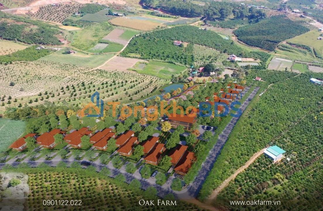 Đất nền Lâm Hà, Lâm Đồng - 1000m² Thổ cư, Giá chỉ 700-900 triệu/nền