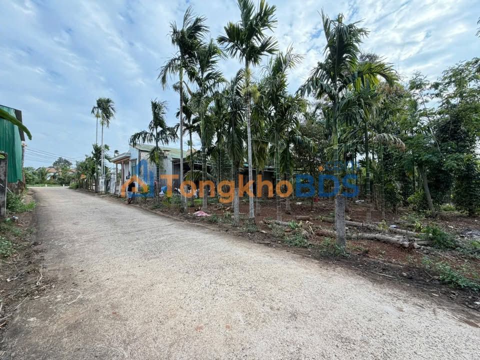 Đất Thôn 7 Ea Tiêu 115m² 700 triệu - Đường to ô tô