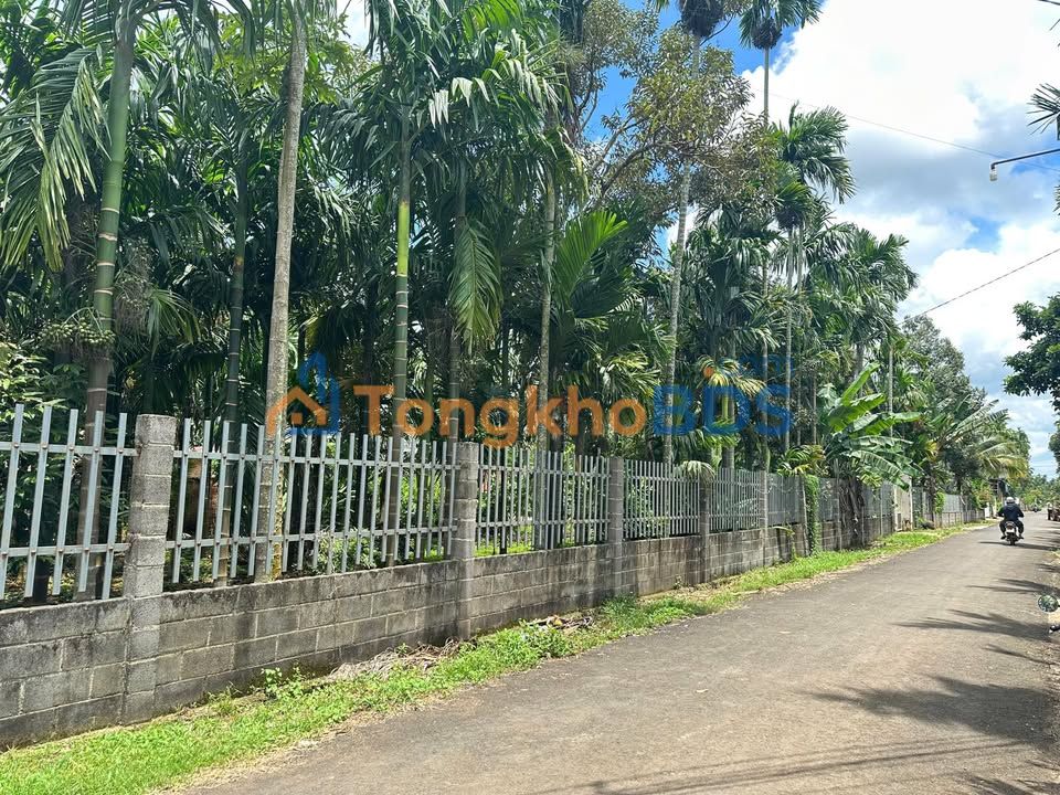 Đất Nền Cư Kuin, Đắk Lắk - 245m² Giá Tốt, Sẵn Sổ Đỏ