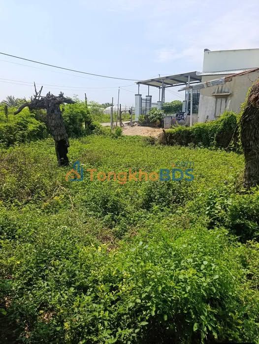 Đất Nền Bình Quý Ninh Thuận 704m² - Hướng Đông, Sẵn Sàng Chuyển Đổi