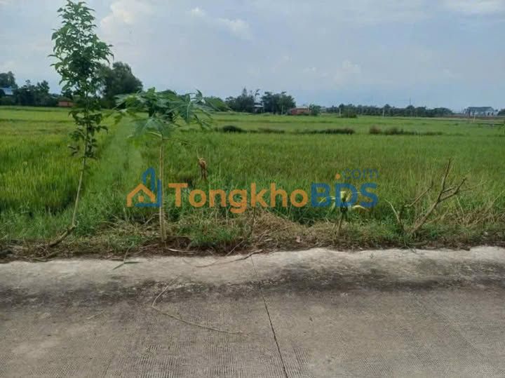 Đất nền Mỹ Hạnh Nam 1.073m² 130 triệu/m² - Sổ đỏ chính chủ