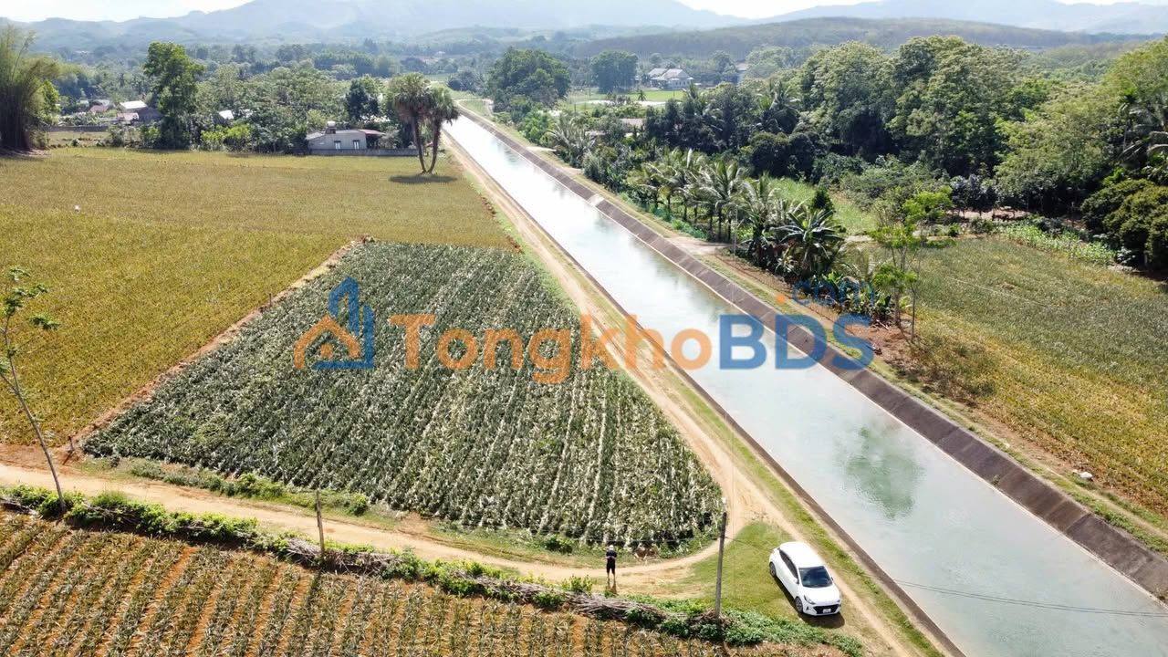 Bán Đất Lô Góc 1100m² View Kênh Minh Tiến, Ngọc Lặc - Sổ Hồng Sẵn Sàng