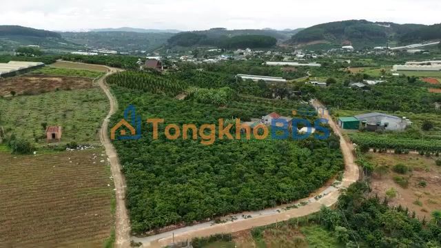 Đất Nền 282m² Thị Trấn Nam Ban - View Hồ, Mặt Tiền Rộng 10m