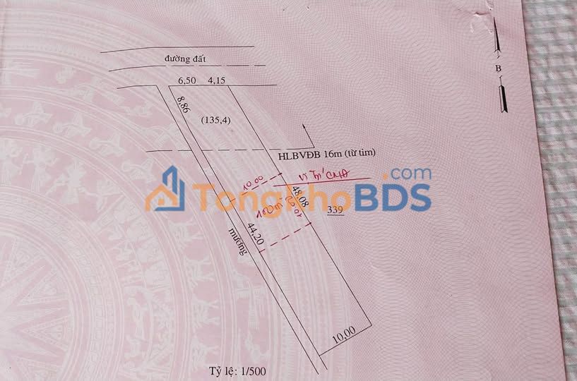 Đất Mặt Tiền Nhựa Bình Long 5000m² - Sổ Đỏ Thổ Cư