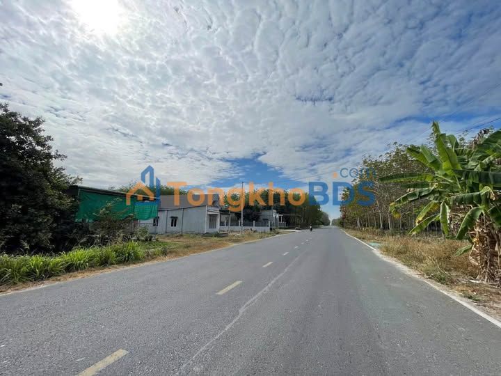 Nhà phố Hớn Quản Bình Phước 600m² 1.85 tỷ - Mặt tiền kinh doanh